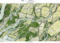 Biesbosch 565