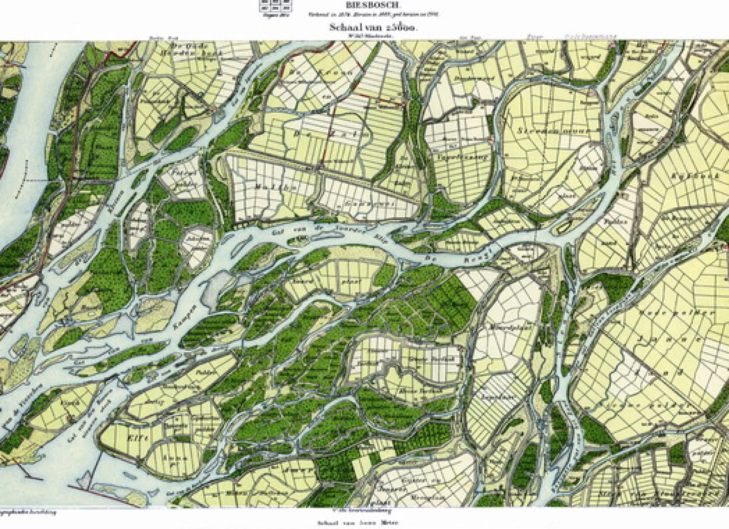 Biesbosch 565