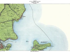 Marken 313