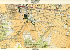 Nieuw-Amsterdam 259