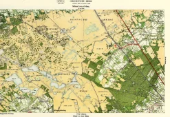 Oirschotsche Heide 669