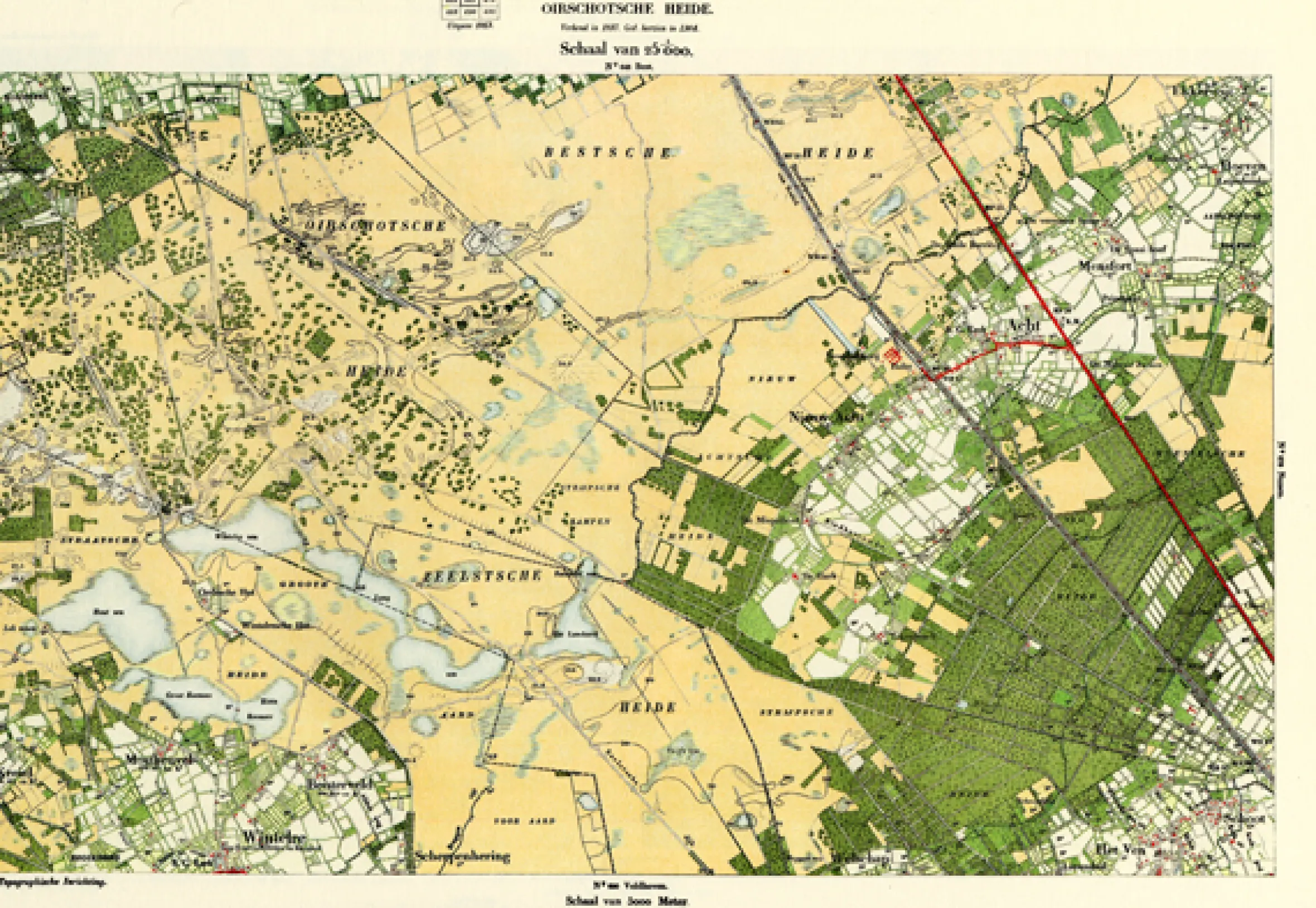 Oirschotsche Heide 669